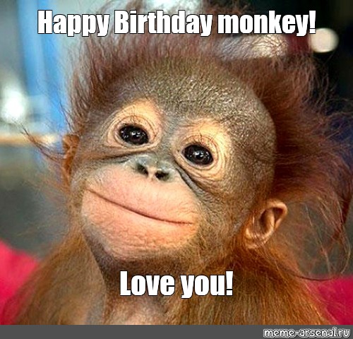 happy birthday monkey love