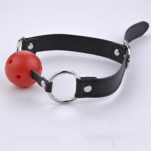 Create meme: leather strap, mouth gag, ball gag