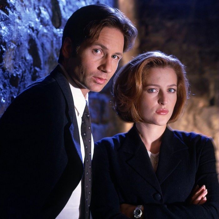 Create meme: Gillian Anderson and David Duchovny The X-Files, Agent Mulder and Scully, The X-files are true