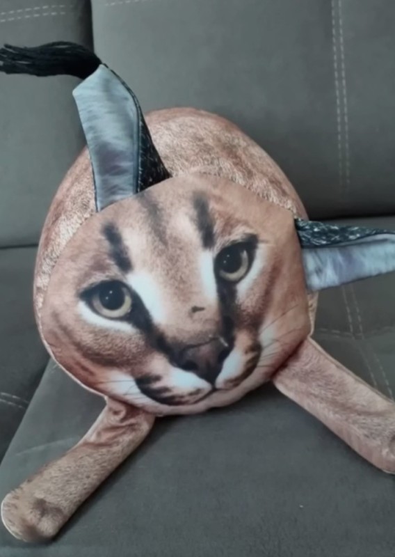 Create meme: caracal slap, a soft spanking toy, slap toy is soft