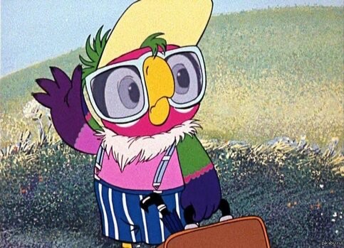 Create meme: parrot Kesha with glasses, Kesha's parrot with a suitcase, return of the prodigal parrot cartoon