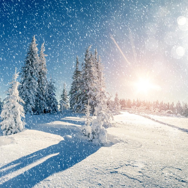 Create meme: the snow is beautiful, winter beautiful, winter 