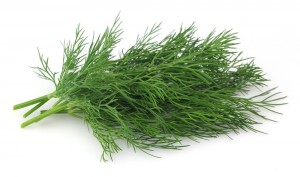 Create meme: greens dill, fresh dill