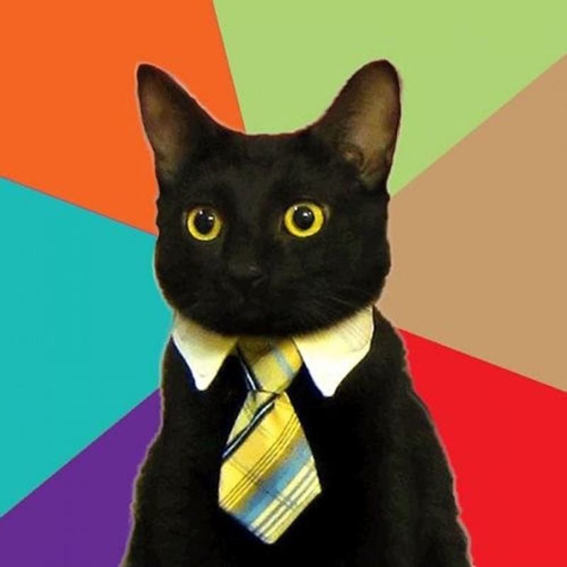 Create meme: Hello Alice, The cat in the yellow tie, business cat