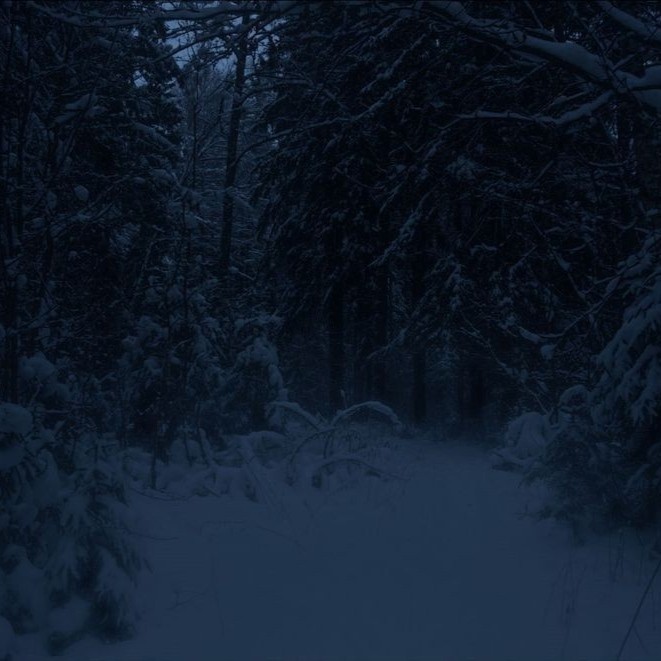 Create meme: winter forest at night, night winter forest, Gloomy winter landscape