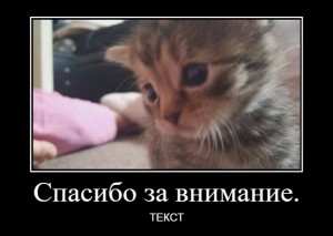 Создать мем: благодарю за внимание, спасибо за внимание котики милые, спасибо за внимание кошка