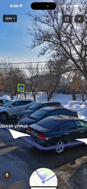 Create meme: tree garden, tree trees, civic coupe