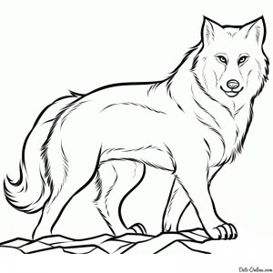 Создать мем: красный волк рисунок карандашом, рисунок волка, красный волк карандашом