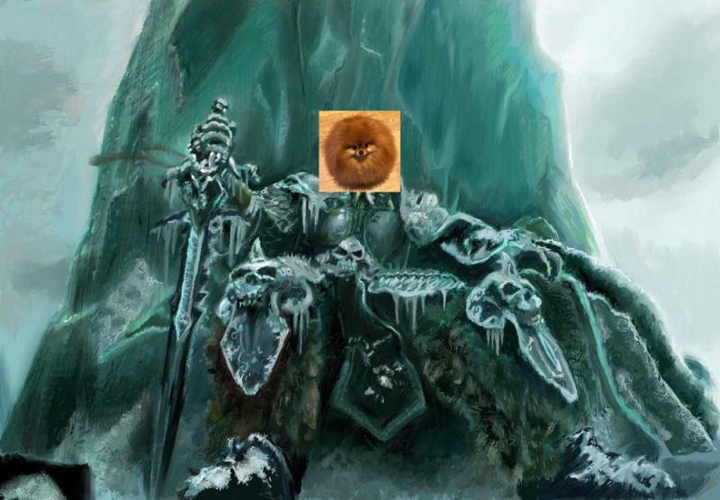 Create meme: Lich king , warcraft iii: the frozen throne, universe of warcraft