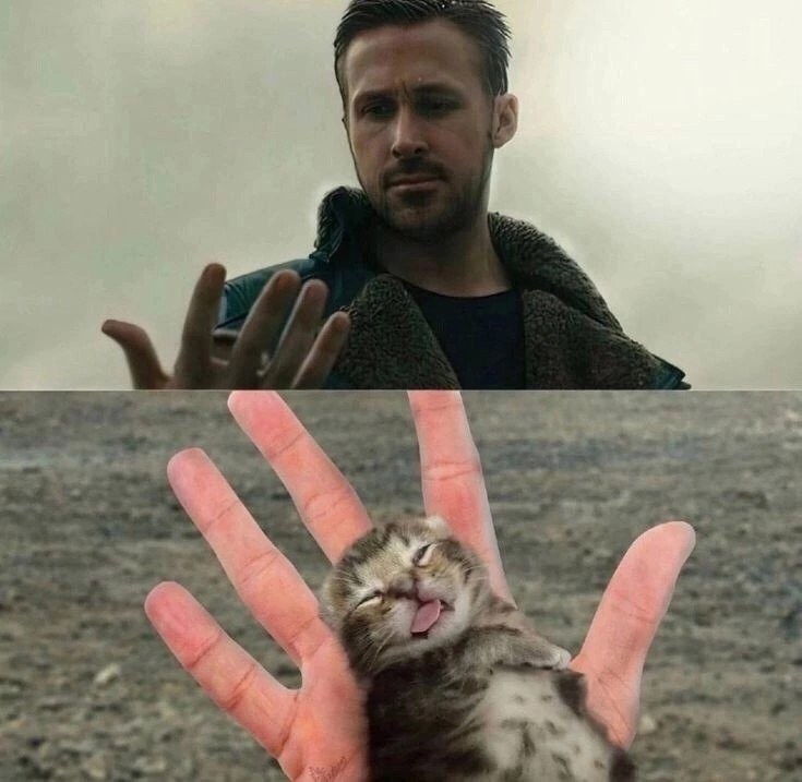 Create meme: Ryan Gosling blade runner 2049 memes, ryan gosling 2049, blade runner ryan gosling