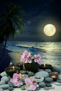 Create meme: Wallpaper Orchid, Moonlight, inspiration Orchid pictures