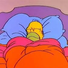 Create meme: Homer sleeps, Homer Simpson in bed, Homer 