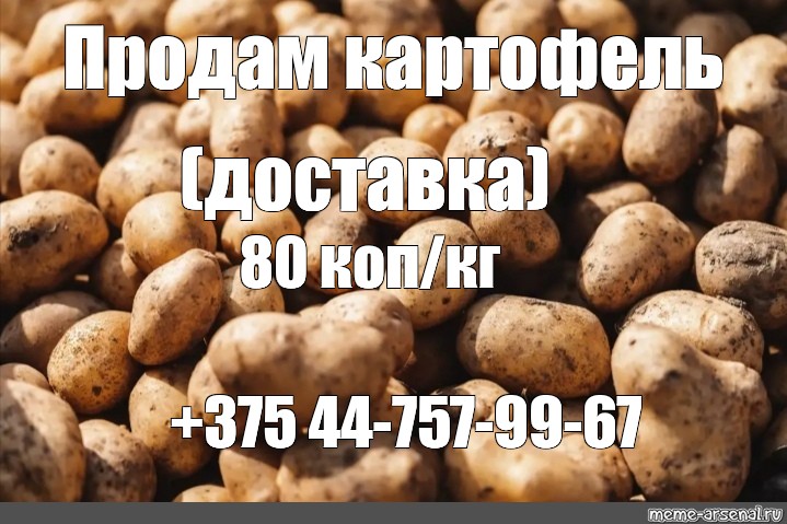 Объявление о продаже картофеля образец