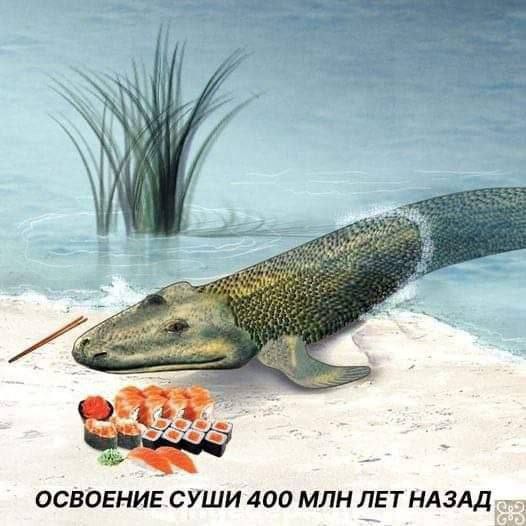 Create meme: The detachment is a double-breathing representative, Devonian period tiktaalik, tiktaalik evolution