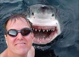 Create meme: deadly selfie, selfie with a shark for a second before death, the worst selfies with sharks