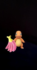 Create meme: shadow pokemon in pokemon th, Pokémon Go, Charmander