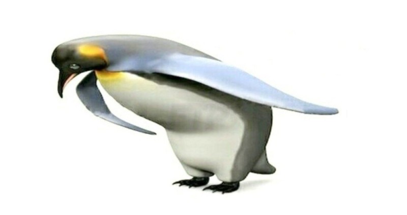 Create meme: penguin bow, Penguin thanks for your attention, penguin 