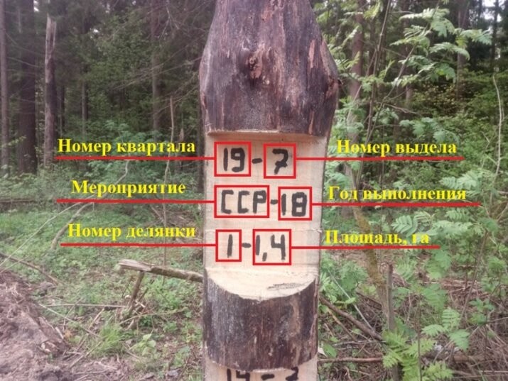 Create meme: inscriptions on the dividing posts, delyanochny pole, dividing poles