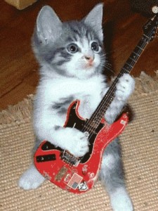 Создать мем: котик с гитарой, котик с электрогитарой, котёнок с электрогитарой