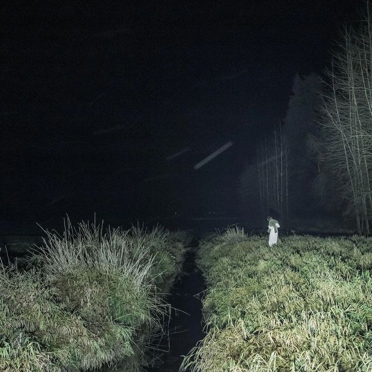 Create meme: in the forest at night, darkness, The guy in the woods with the ghosts