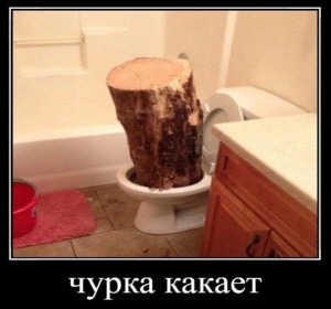 Create meme: toilet, chock