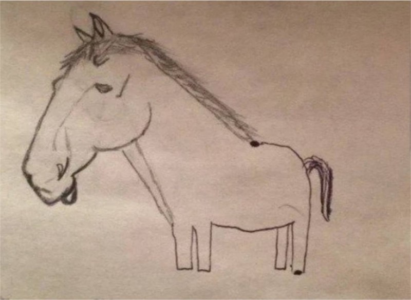 Create meme: the pafinis horse, Drawing a horse, horse pencil step by step