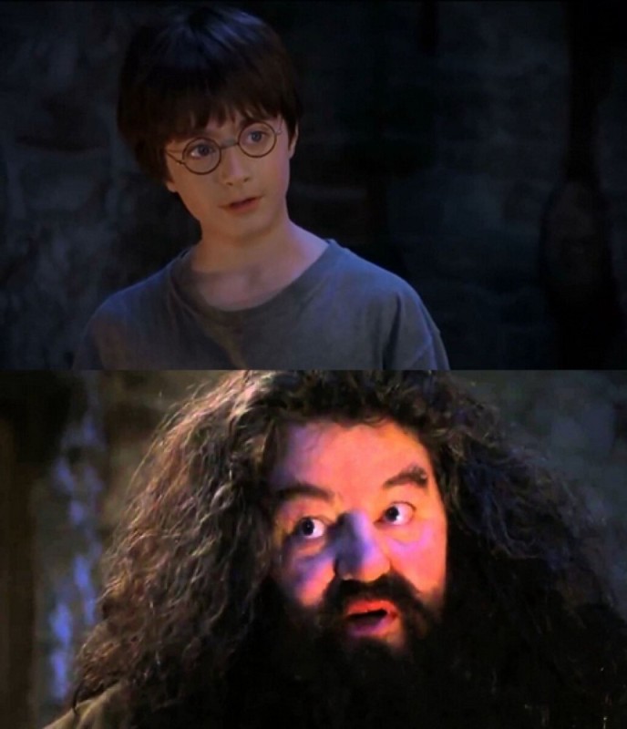 Create meme: Hagrid Harry Potter, Hagrid you're a wizard Harry, harry potter harry