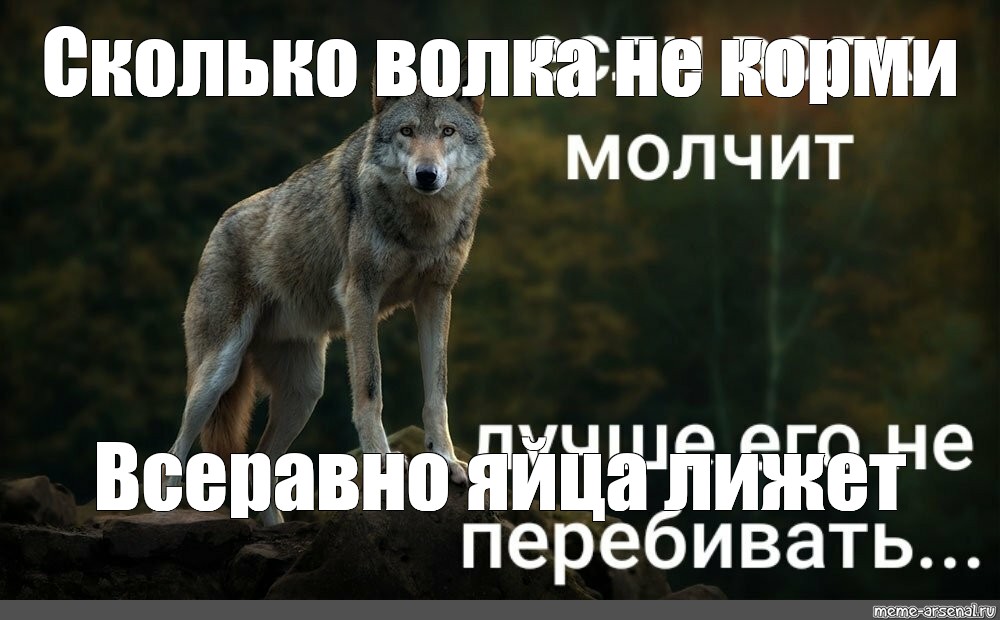 Сколько волка. Мем волк слабый. Степной волк Мем. Фразы Волков 2022 мемы. Волк Мем присаживайся.