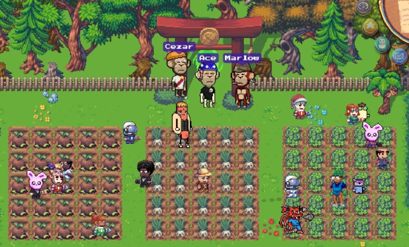 Create meme: stardew valley, stardew valley game, Everland game