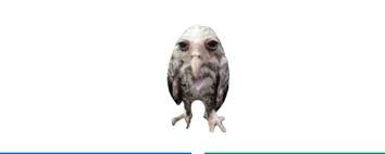 Create meme: salt owl, wet owl, The salt owl is a ghoul