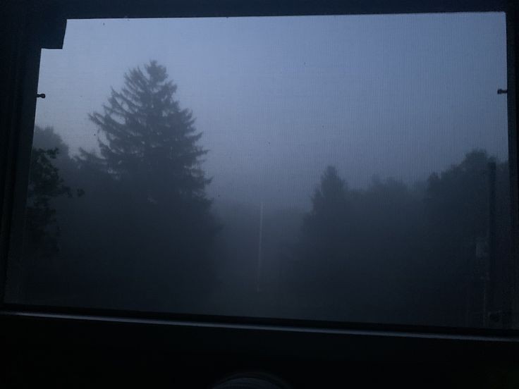 Create meme: morning nature, rain landscape, forest fog
