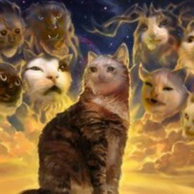 Create meme: The nine lives of MTG, space cat, Mammy cat