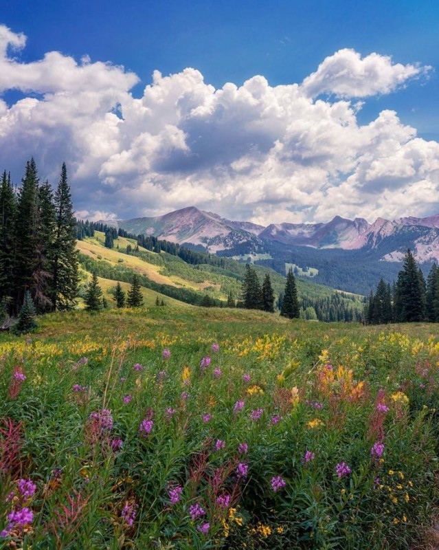 Create meme: mountains in summer, mountains summer, alpine landscapes