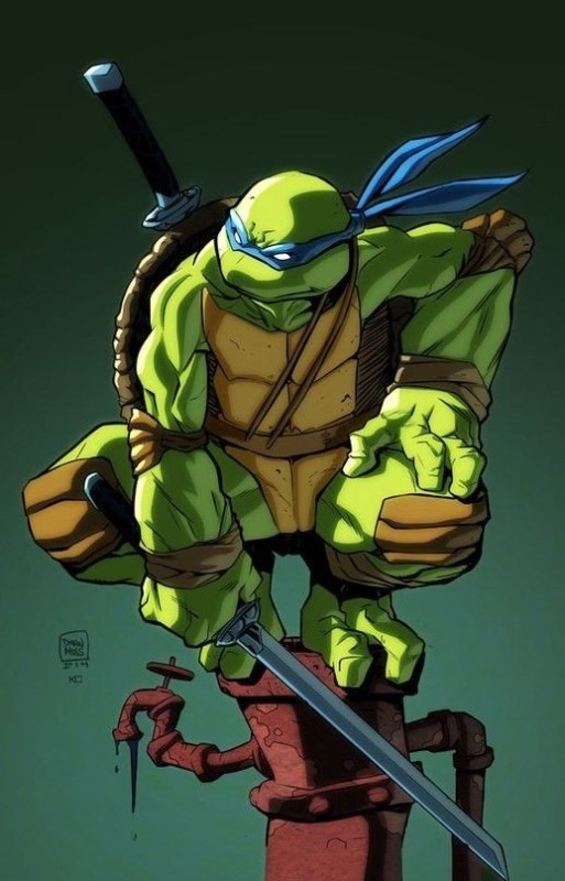 Create meme: leonardo's teenage mutant ninja turtles, Leo TMNT 2003, Leonardo the Teenage Mutant Ninja Turtles 2003