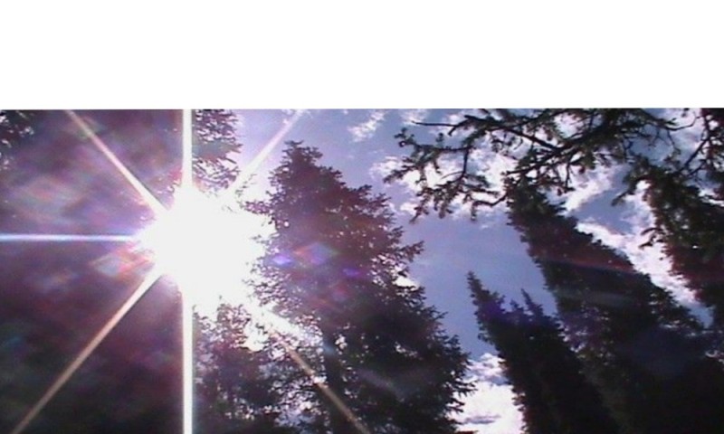 Создать мем: sun flare, финляндия вид из окна, лес