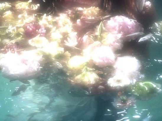 Create meme: flowers in the water aesthetics, flowers , flowers in water