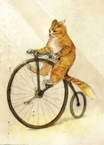 Создать мем: едет на велосипеде, кот едет на велосипеде, котенок на велосипеде