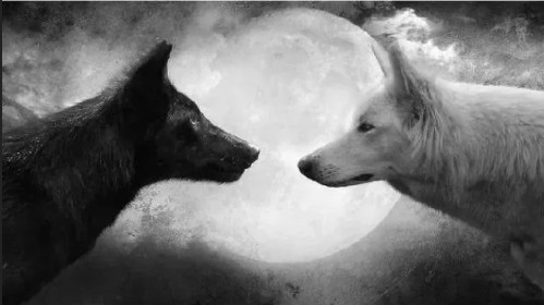 Create meme: The wolf 🐺, two wolves, Moon wolves