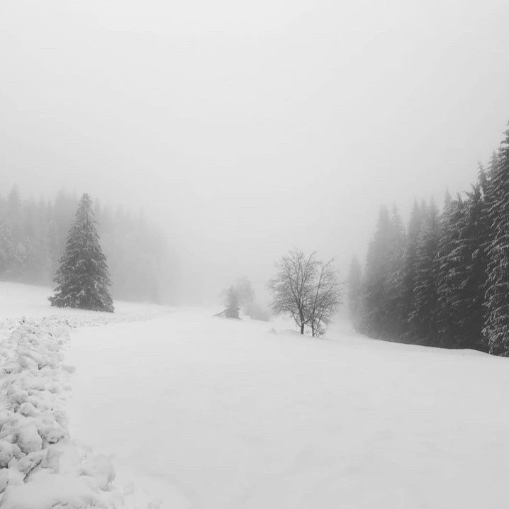 Create meme: winter forest, nature winter, winter snow 