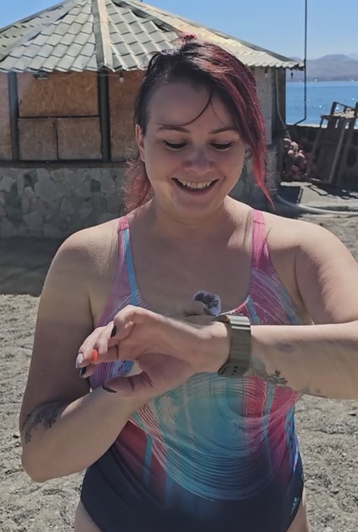 Create meme: swallow shorebird chicks, turtles in Costa Rica volunteers, Evgenia Mashkova Kazan