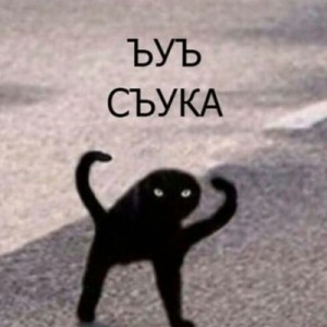 Создать мем: я сам, черный кот мем ъуъ, черная кошка мем