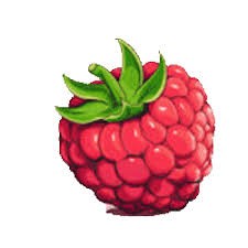 Create meme: raspberry illustration, raspberry clipart, raspberry figure