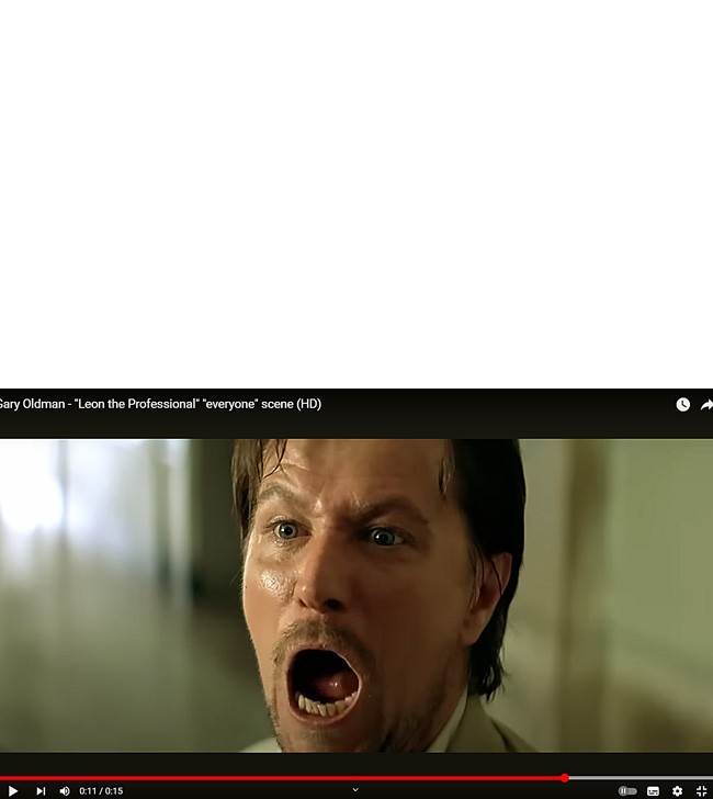 Create meme: leon gary oldman, Leon 1994 Stansfield, a frame from the movie