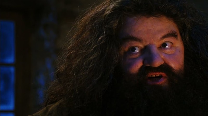 Create meme: Hagrid from Harry, Hagrid's brother from Harry Potter, Robbie Coltrane is Hagrid