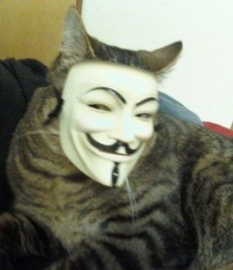 Создать мем: анонимус с автоматом, анонимус, кот в маске анонимуса