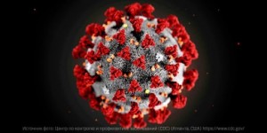 Create meme: coronavirus under a microscope, coronavirus, virus