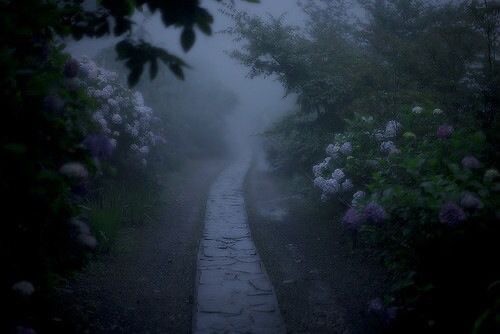 Create meme: thick fog , nature , twilight aesthetic