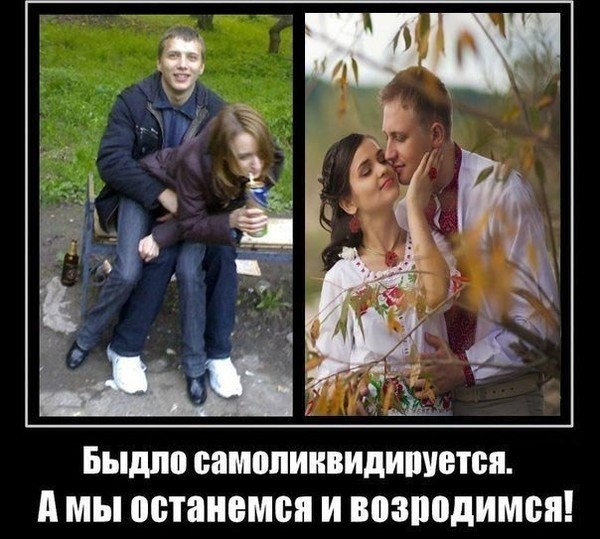 Create meme: redneck value, cattle in Russia, cattle, not a man