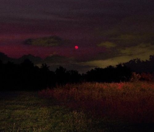 Create meme: the moon in the night, red moon, Night forest with moon