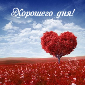 Create meme: heart, love, Valentine's day